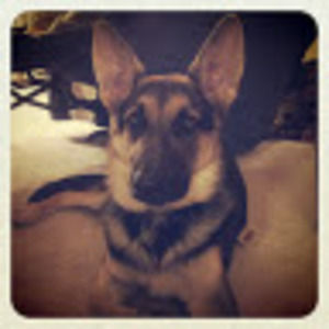 Meet your Posher, Renee